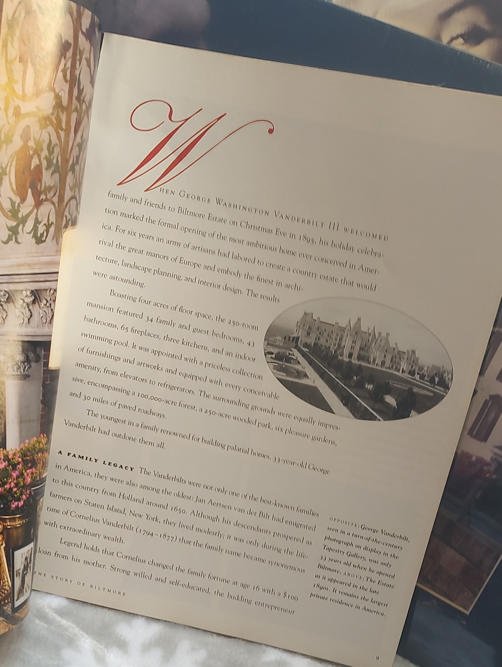 Biltmore Estate 📚 - Picture 7 of 10
